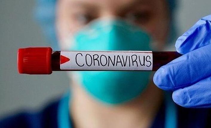 Koronavirüs bitmeden bir başka salgın baş gösterdi