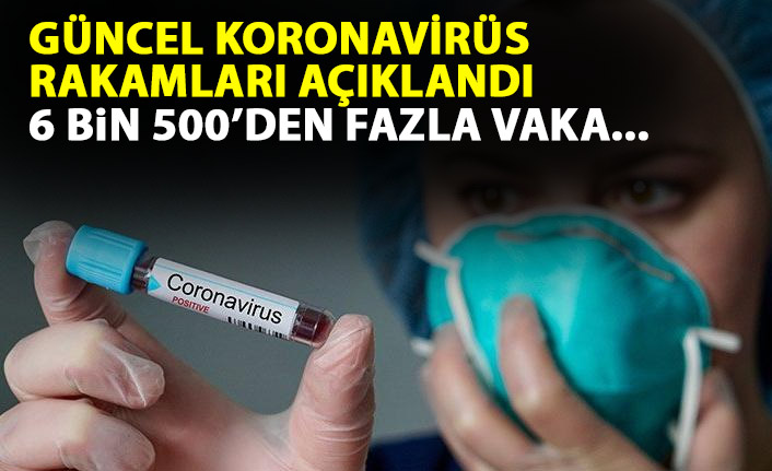 Güncel koronavirüs rakamları açıklandı: 6500 den fazla yeni hasta!