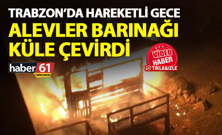 Trabzon'da hareketli gece! Yangın barınağı kül etti