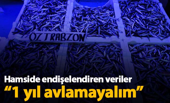 Hamside endişelendiren veriler "1 yıl avlamayalım"