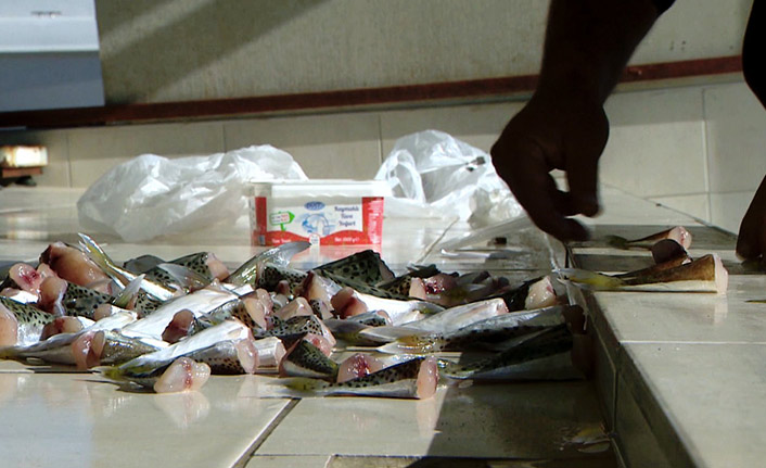 Antalya'da ilk günde 2 bin kuyruk toplandı