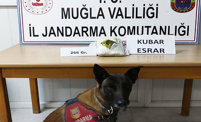 İzinli ayrıldığı cezaevine uyuşturucu ile döndü