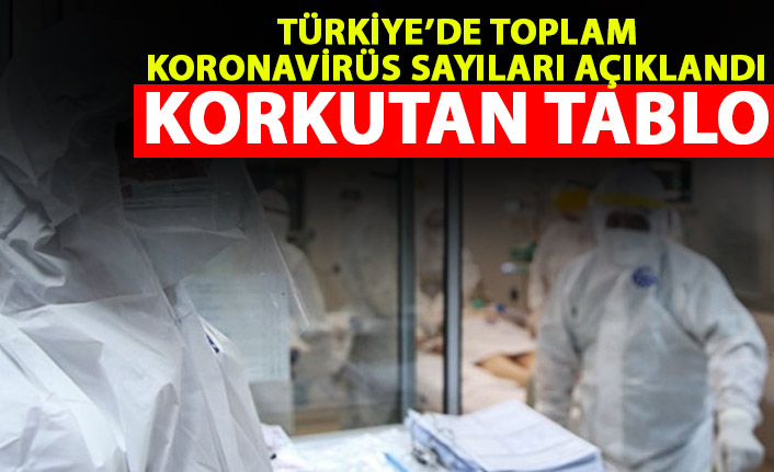 Türkiye'deki toplam vaka sayısı açıklandı! Korkutan tablo