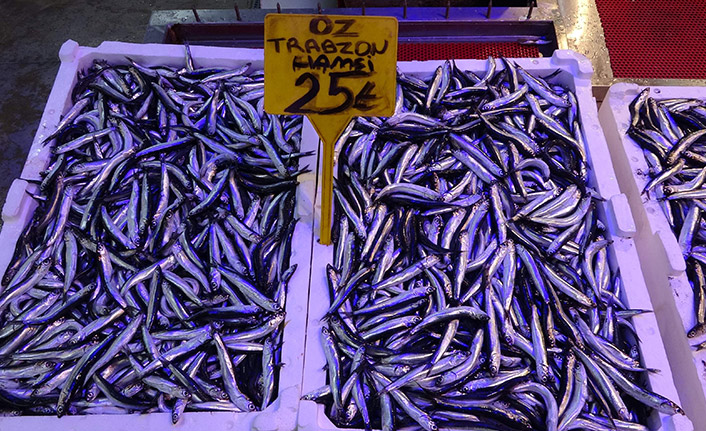 Hamsi fiyatıyla şaşırtmaya devam ediyor