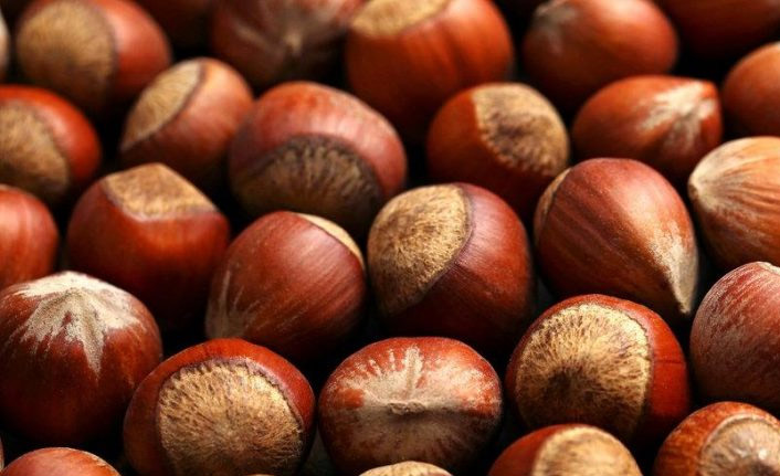 Fındık fiyatı ne kadar?