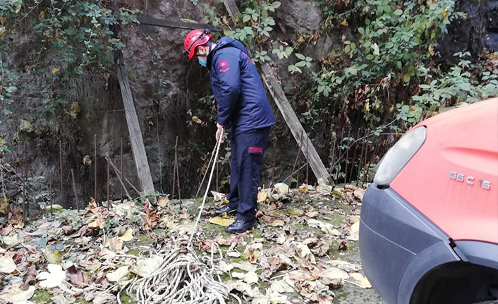 Trabzon’da boşluğa düşen kedi için seferber oldular