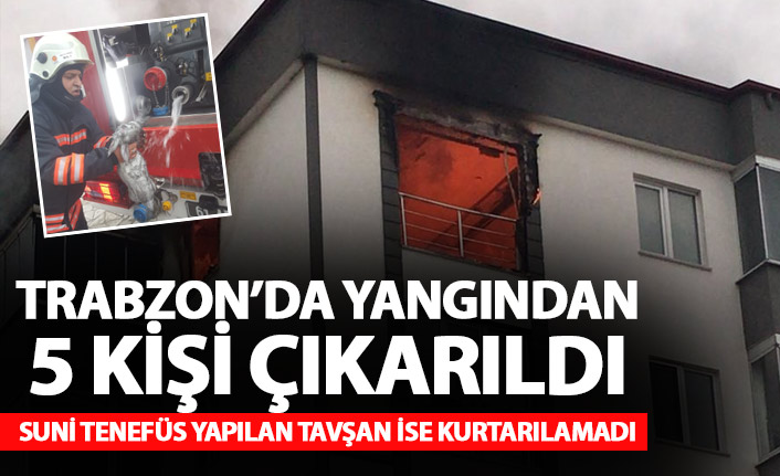Trabzon’da yanan evden 5 kişi çıkarıldı! Suni teneffüs yapılan tavşan ise kurtarılamadı