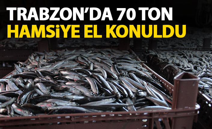 Trabzon'da 4 ayda 70 ton hamsiye el konuldu