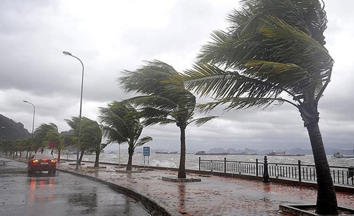 Doğu Karadeniz için fırtına uyarısı: Rüzgâr 75 km/saate çıkacak