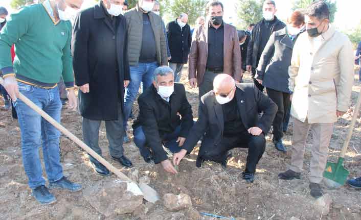 Batman'da Eren Bülbül adına fidan dikildi