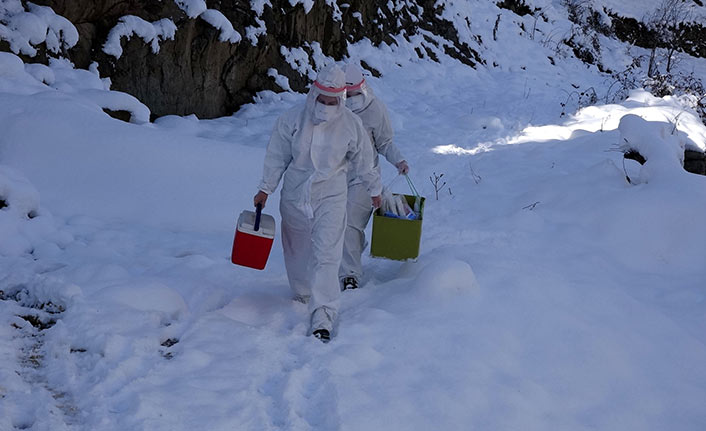 Trabzon'da filyasyon ekipleri karda da virüsün izini sürüyor