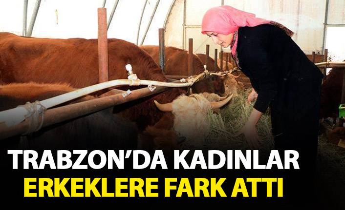 Trabzon'da kadınlar girişimcilikte erkekleri geçti