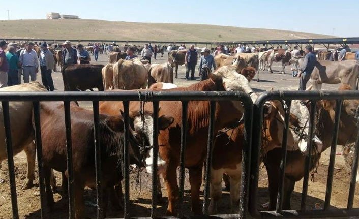 Hayvan pazarlarının faaliyetleri Covid-19 nedeniyle durduruldu