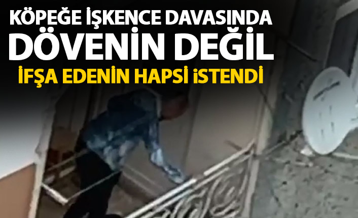 Trabzon'da köpeğe şiddeti görüntüleyen kadının hapsi istendi
