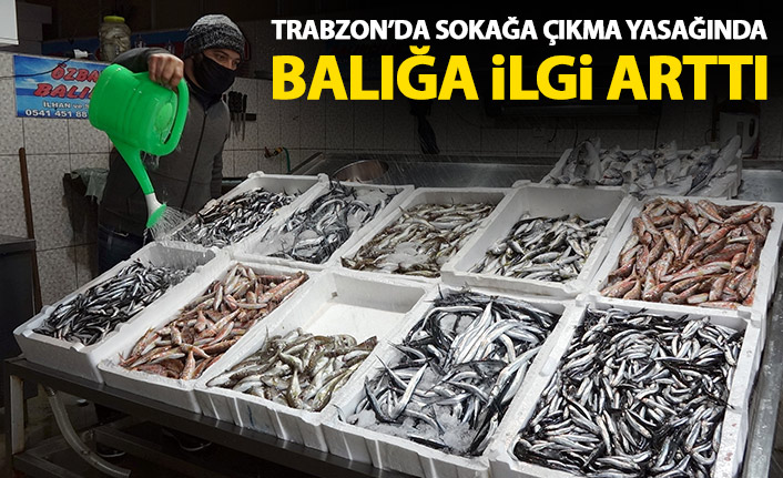 Trabzon'da sokağa çıkma yasağında balığa ilgi arttı