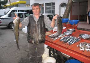 Karadeniz'den İstanbul'a balık