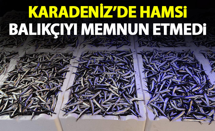 İnce hamsi balıkçıyı memnun etmedi
