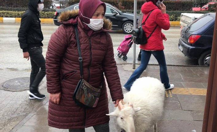 Eşinin hediyesi yavru kuzu ile hayatı bir anda değişti