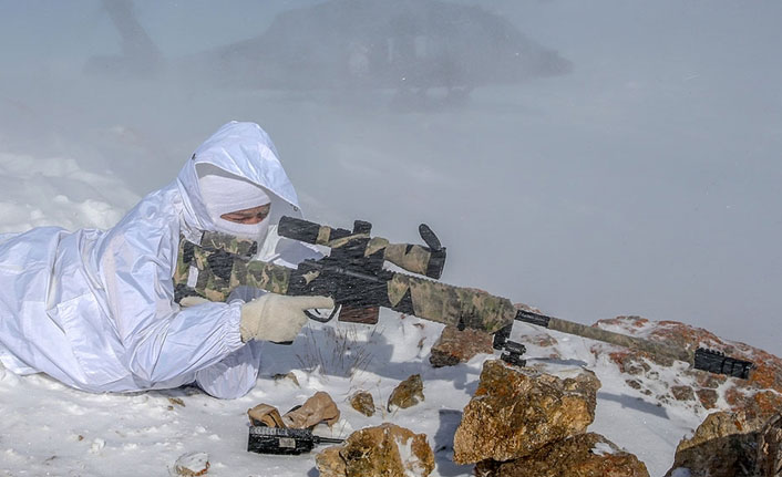 Etkisiz hale getirilen 5 teröristten 2'si gri kategoride