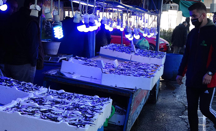 Hamsinin peşinden bu kez Gürcistan'a değil İğneada'ya gittiler