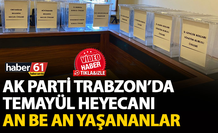 AK Parti Trabzon'da Temayül yoklaması yapılıyor