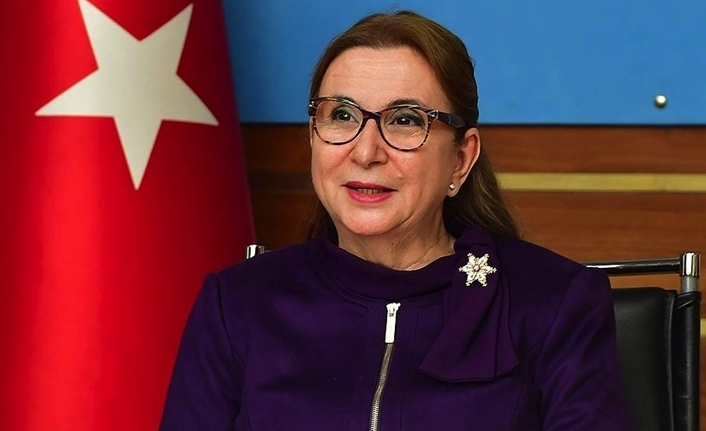 Esnaf ve sanatkarlara destek başvurusunda tarih uzatıldı