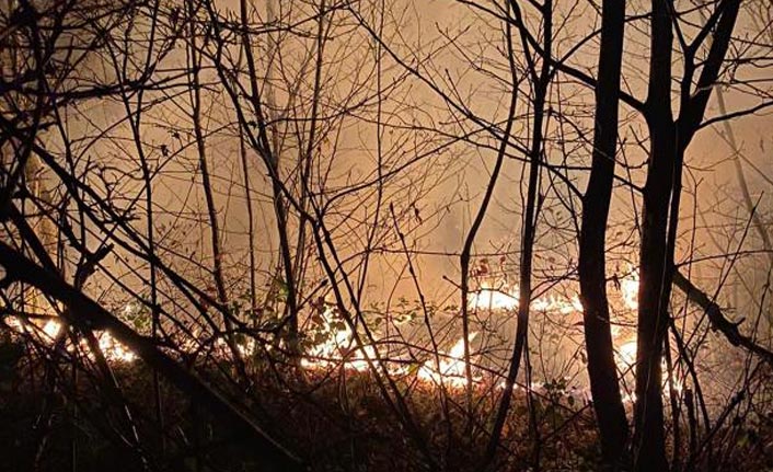 Trabzon'da örtü yangını çıktı