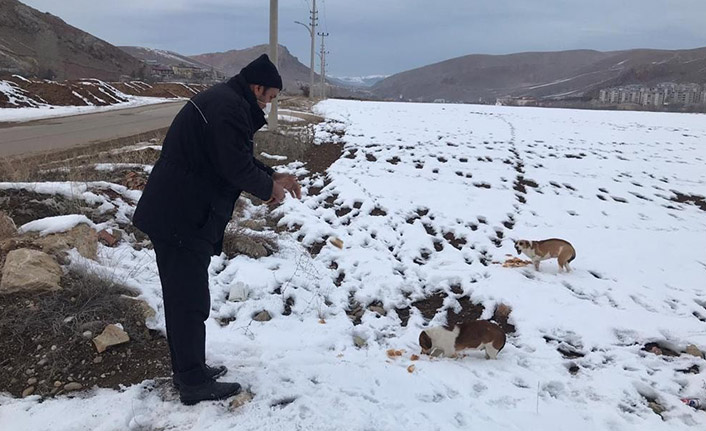 Sokak hayvanları için yiyecek bırakıldı