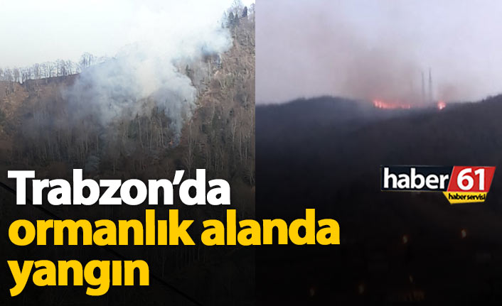 Trabzon’da İki Ayrı Noktada Orman Yangını Korkuttu