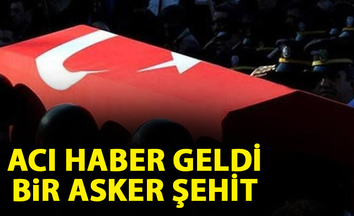 Diyarbakır'dan acı haber geldi! 1 Asker şehit oldu - 09 Ocak 2021