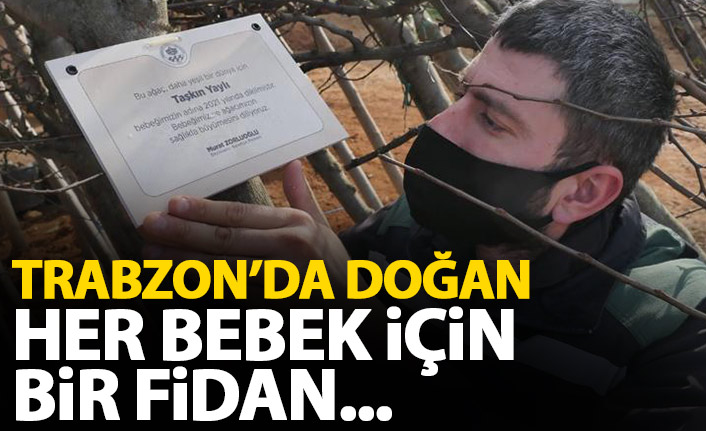 Trabzon'da doğan her bebek için bir fidan