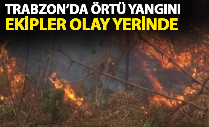 Trabzon'da ormanda yangın! Ekipler olay yerinde