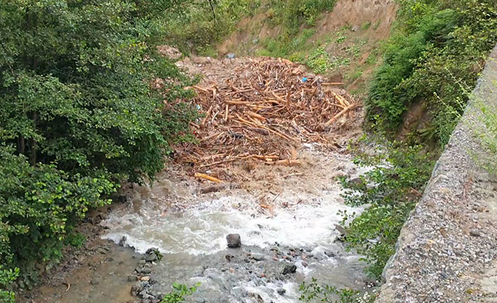Doğu Karadeniz'de taşkınlara karşı böyle önlem alınacak