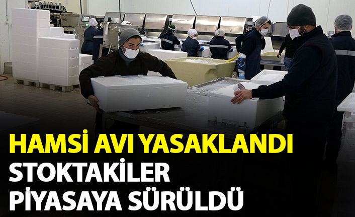 Hamside av yasaklandı stoktakiler piyasaya sürüldü