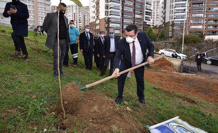 Trabzon'da Çukurçayır’a meyve bahçesi!