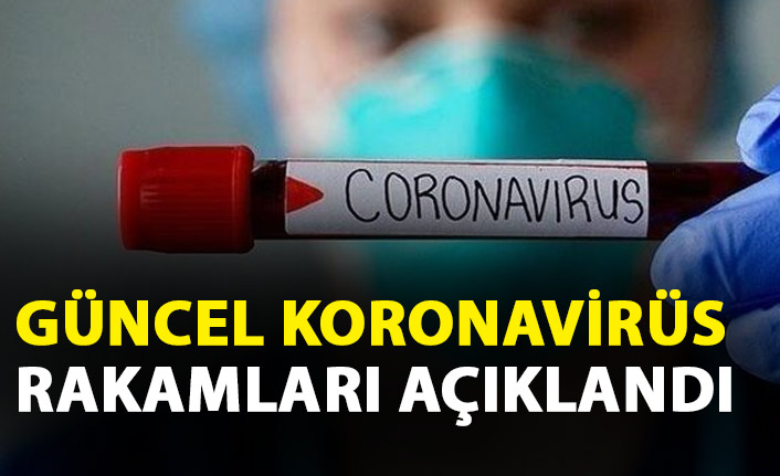 Sağlık Bakanlığı güncel koronavirüs verilerini açıkladı