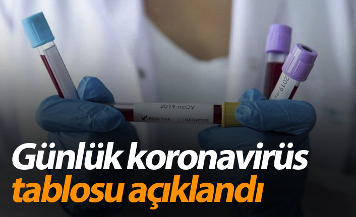 Türkiye'nin koronavirüsle mücadelesinde son 24 saatte yaşananlar