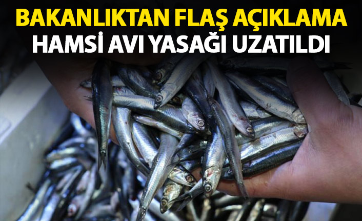 Beklenen açıklama geldi! Hamsi yasağı uzatıldı!