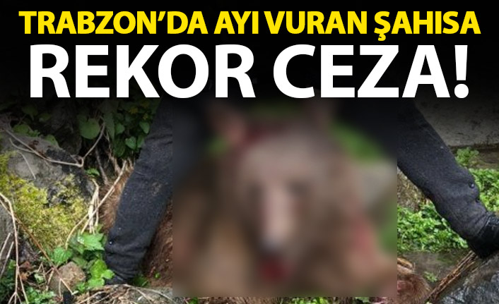 Trabzon'da ayı vuran şahısa rekor ceza!