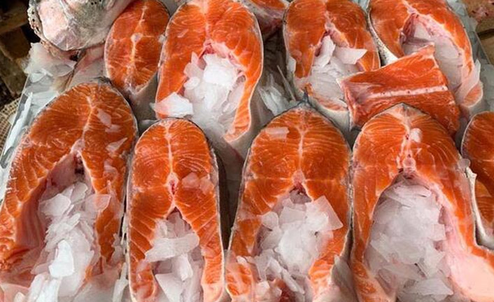 Karadeniz somonuna Rusya'dan büyük ilgi