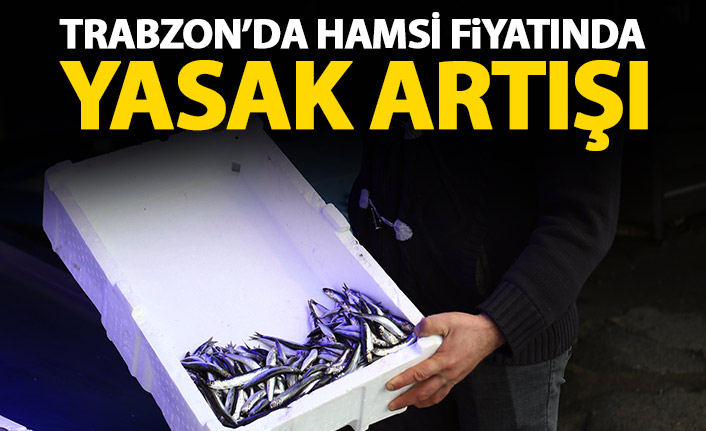 Trabzon'da hamsi fiyatında yasak artışı!