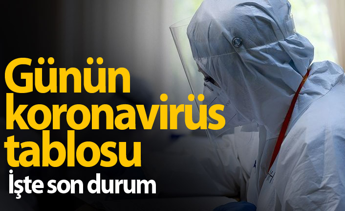 Türkiye'de günün koronavirüs raporu 20.01.2021