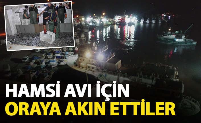 Hamsi avı için İğneadaya akın ettiler