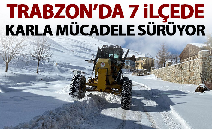 Trabzon'da 7 ilçede karla mücadele