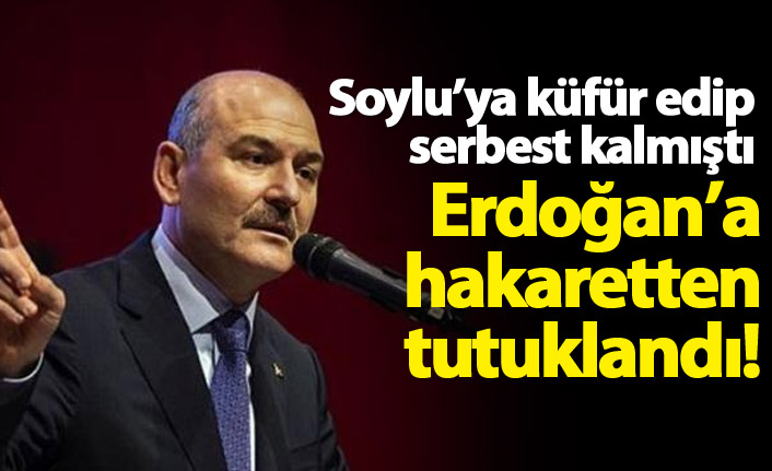 Bakan Soylu'ya küfredip serbest kalmıştı, Erdoğan'a hakaretten tutuklandı!