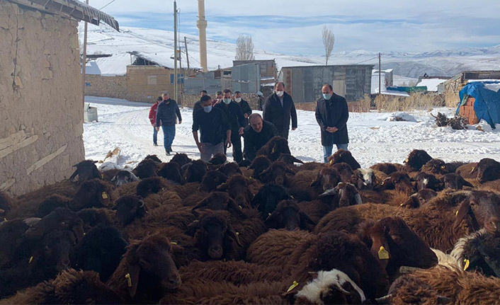 Çiftçilere koyunları teslim edildi