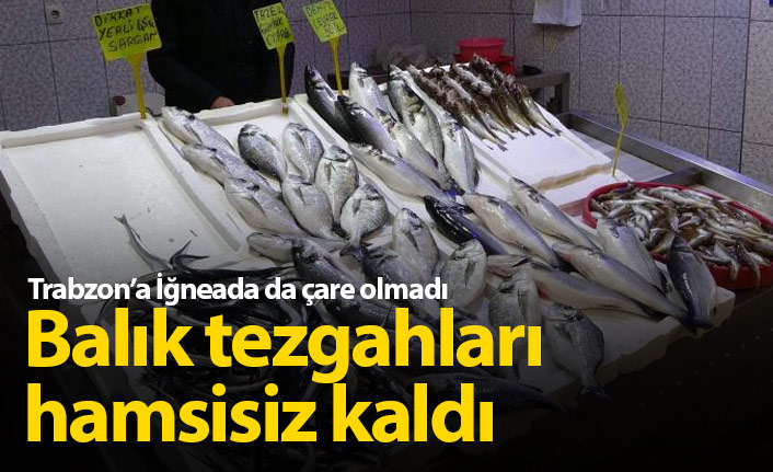 İğneada da Trabzon'a derman olamadı