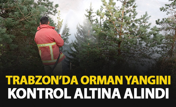 Trabzon'daki orman yangını kontrol altına alındı