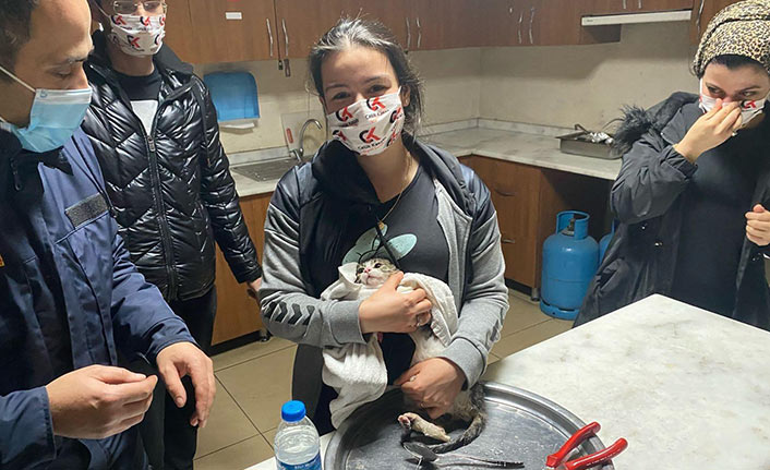 Trabzon’da seferberlik! Bu kez kedi itfaiyeye geldi