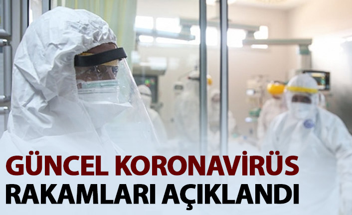 Türkiye’de son 24 saatte 7 bin 909 yeni vaka, 113 can kaybı